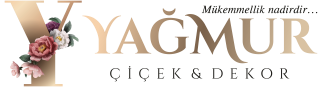 https://www.instagram.com/yagmur_cicek79/
